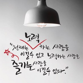 단비디자인 캘리 천재는 LU-S36 포인트스티커, 화이트