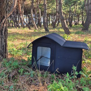 코지톡 길고양이 겨울집 길냥이 급식소 실외 숨숨집 하우스