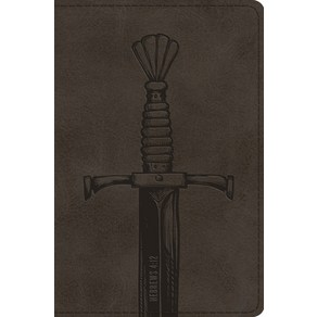 (영문도서) Compact Bible-ESV-Silver Sword Imitation Leather