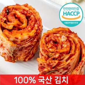 [전라도찐맛] 당일제조 맛김치, 1개, 10kg