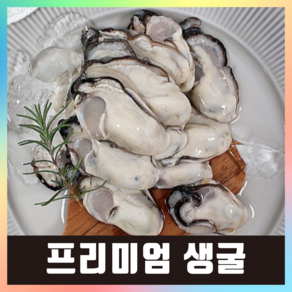 햇굴 생굴 당일작업 깐굴 굴 통영, 1개, 최상급(대굴) 5kg