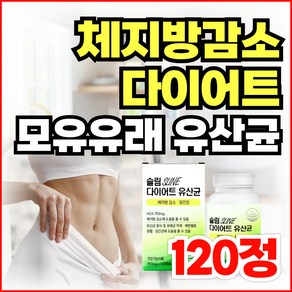 유산균 다이어트 보조제 알약 비피더스 유산균 체지방감소 모유 유래 유산균 L 프롤린 락토바실러스 가세리 가르시니아