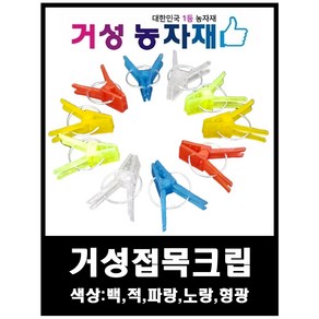 접목크립 거성농자재, 파랑색, 500개