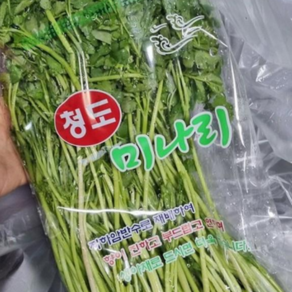 믿고마트 삼결살과 찰떡궁합 [청도 명품 미나리] 최상품, 청도 미나리 500g, 1개