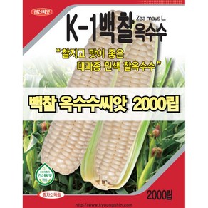 경신종묘 백찰옥수수 2000립 파종용 옥수수 씨앗 당일발송