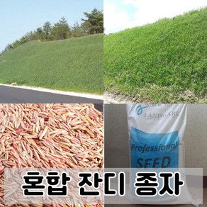 혼합종자 잔디씨 2kg - 법면녹화 잔디, 1개