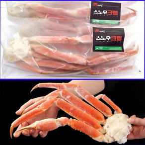 자숙 박달 대게 스노우크랩 2.5kg 러시아 마가단 대게배달 (냉동 수산물 장터)