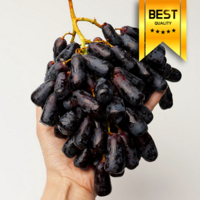 [초특가수입사직송] 23bix 블랙 사파이어 포도, 1개, 2kg (특상)
