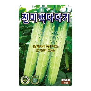 진미 백다다기 오이씨앗 50립 백다다기오이 씨앗 대장 KS종묘, 1개