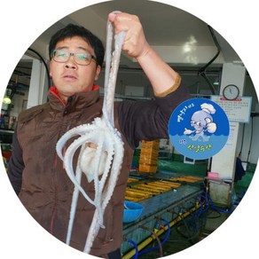 국내산 뻘낙지 (장흥) 세발낙지, 10개, 세발낙지1(20-40g)