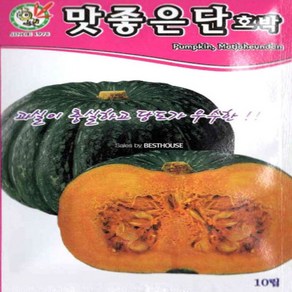 당도가 우수한 맛좋은 단호박 씨앗 10립 식용 허브채소 새싹채소씨앗 새싹씨앗, 1개