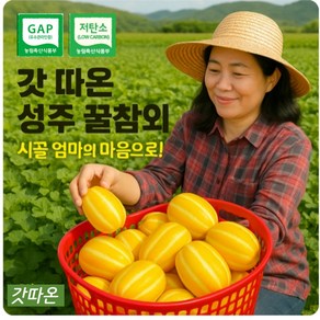 [성주 꿀참외] 산지직송 아삭달콤 제철 과일 3kg~10kg (가정용/선물용 당도보장 여름과일), 1박스, 프리미엄 대과 / 3kg