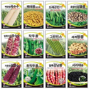 콩씨앗 땅콩씨 메주콩씨앗 강낭콩종자 호랑이콩씨앗 작두콩종자 서리태, 1개