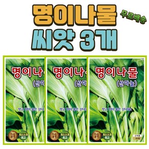 씨앗팜 산마늘 명이나물 씨앗 3개 (50립x3)