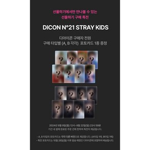 [공식 포카 특전] 스트레이키즈 (스키즈) 디아이콘 B타입 / STRAYKIDS DICON _ B TYPE, 한