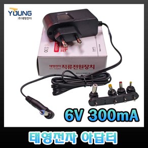 태영전자 6V 아답터 300mA 500mA 1A 2A SMPS 코드형 벽꽂이형 전자식 직류전원장치