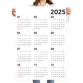 하늬통상 한눈으로 보는 2025년 2024년 대형 달력 한장 포스터 스케줄 캘린더, 2025년 세로형 대형