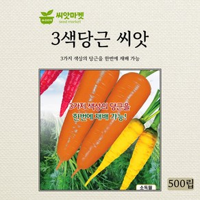 KS종묘 3색당근 혼합색 씨앗 500립, 1개