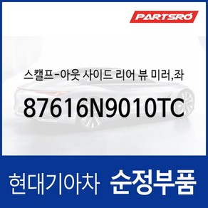 사이드미러커버 백미러커버 운전석쪽 (팬텀 블랙) (87616N9010TCM) 투싼 디올뉴 NX4/디올뉴 NX4 하이브리드, 1개