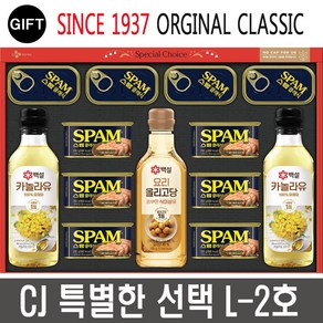 CJ제일제당 특별한선택 L-2호 스팸선물세트 + 선물용가방 포함, 1세트