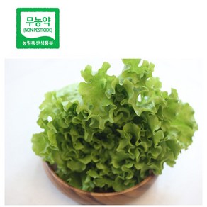 1kg 유럽상추 카이피라 단품