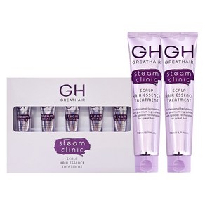 GH 그레이트헤어 스팀 스칼프 헤어에센스 트리트먼트 이찬석 110ml 2개+15ml 5개, 1세트, 295ml