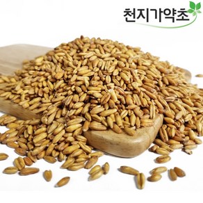 고대곡물 파로 이탈리아산 통곡물 착한 탄수화물, 5개, 500g