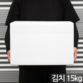 국산 대형 스티로폼 박스 - 택배 김치박스 아이스박스 박스 스티로폴 스치로폼 스치로폴 상자 낱개, 1개