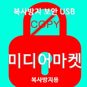 복사방지 USB 스틱형/카드형 복제방지 데이터 파일보안프로, 1개, 16GB