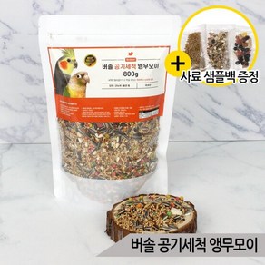 버솔 공기세척 앵무모이 800g 코뉴어 왕관 앵무새사료, 1개