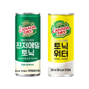 올따옴기획 캐나다드라이 진저에일 250ml*12개+토닉워터 250ml*12개, 24개, 250ml