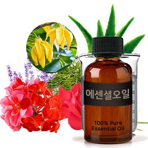 엔피솝 BEST 에센셜오일 모음 30ml(라벤더 레몬 티트리 로즈마리 일랑일랑 유칼립투스) 비누만들기 화장품만들기, 38.로즈마리 E.O_30ml, 1개