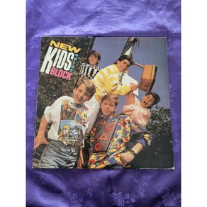 NEW KIDS ON THE BLOCK LP