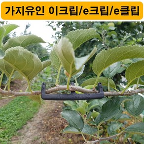 한누리팜마트 다인산업 가지유인 이크립 5cm 500개 e크립 e클립