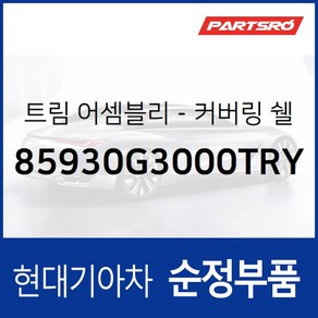 트림-커버링 쉘프 센터 (85930G3000TRY) i30 현대모비스 부품몰, 1개