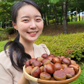 공자매 농축수산 햇알밤 옥광밤 공주정안알밤, 4kg, 1박스, 알밤(대)