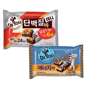 오리온 닥터유 에너지바 미니 330g+단백질바 337.5g[총2개], 330g, 2개