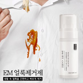 청소신 EM 얼룩제거제, 1개