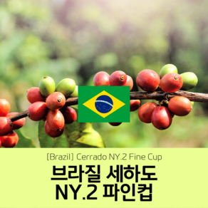 [브라질] NY2 FC 세하도 세웅지씨 산지 직수입 생두 1kg