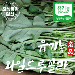 국내산 유기농 와일드루꼴라 친환경 루꼴라 특품 500g, 1개