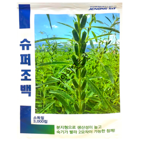 참깨씨앗 조생종 슈퍼조백참깨종자 3000립 펠렛코팅 가지깨, 1개