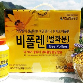 해찬골 농원 100% 국내산 천연 프리미엄 비폴렌 30가지 꽃에서 채취한 벌 화분 170g 6병, 6개