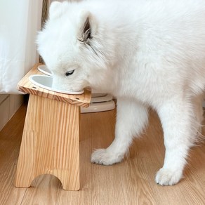 대형견 밥그릇 강아지 식탁 애견 고양이 수반 오일코팅 식기 2구, 대형견 오일코팅 식기 1구, 26cm, 1개