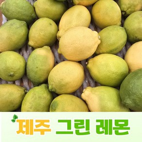 GAP 인증 산지직송 상큼달콤 제주 그린레몬 2.5kg 실속형, 1박스