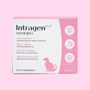 강아지 고양이 인트라젠 플러스 종합영양제 분말, 1개, 장건강/유산균, 30회분