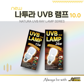 나투라 UVB 10.0 13w 파충류 일광욕 전구, 1개