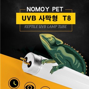 UVB램프 사막형 T8, 1개