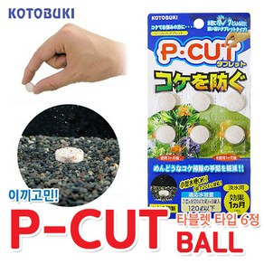 고토부키 P-CUT BALL 이끼제거 테블릿(6정) / 이끼방지제 PH수치안정, 1팩