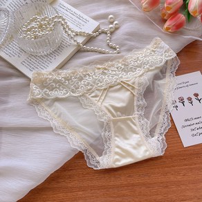 여성용 레이스망사 헴팬티 빅사이즈 헴펜티 Women's Underpants 뉴타임즈 R562G980