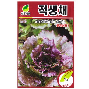 성우 적생채 씨앗 1g 아삭이 상추 종자 생채씨 키우기